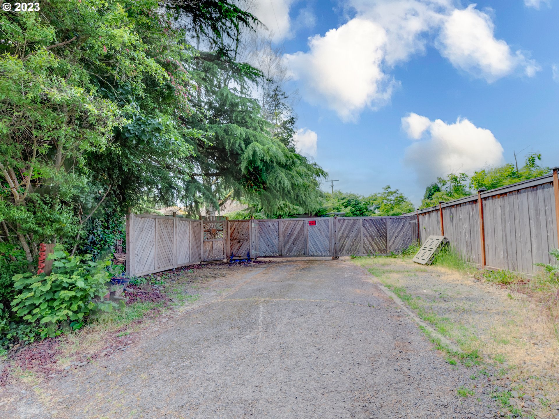 3350 Oriole Street Springfield, OR 97477 - Photo 13 of 15 a view of a backyard with plants and trees