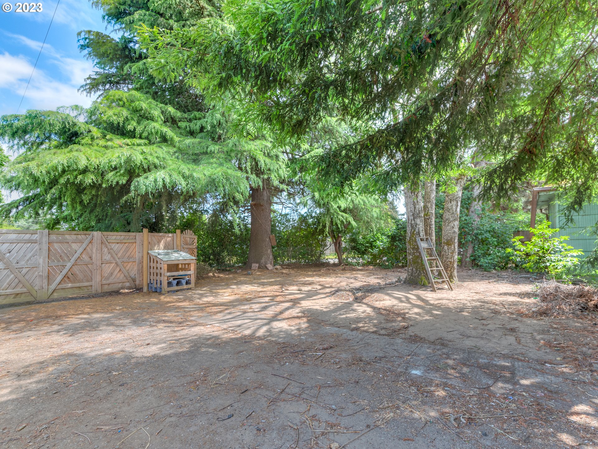 3350 Oriole Street Springfield, OR 97477 - Photo 15 of 15 a backyard of a house with large trees and plants