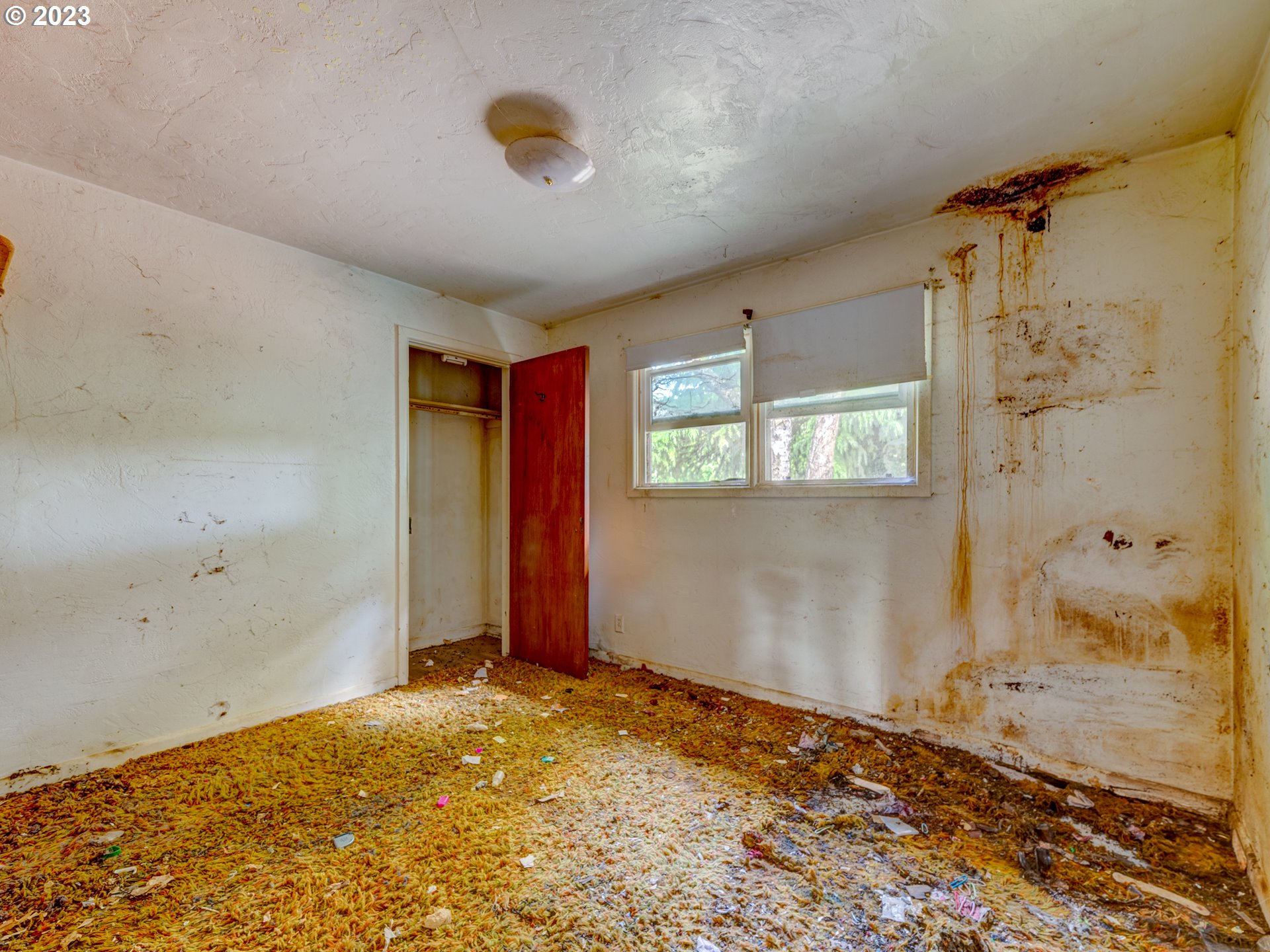 3350 Oriole Street Springfield, OR 97477 - Photo 6 of 15