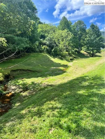 a view of a grassy field with an trees