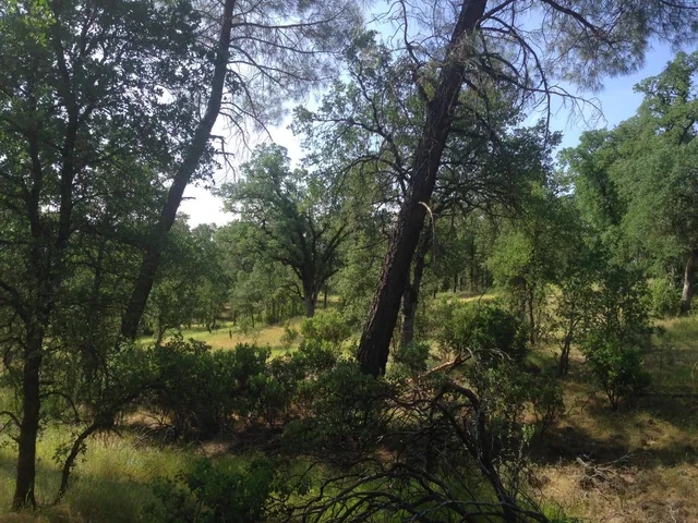 a view of lake with green space