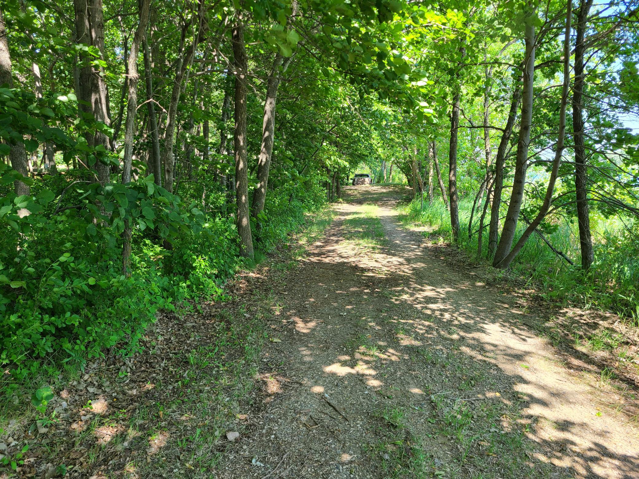 26373 Anna Lake Road Underwood, MN 56586 - Photo 4 of 39