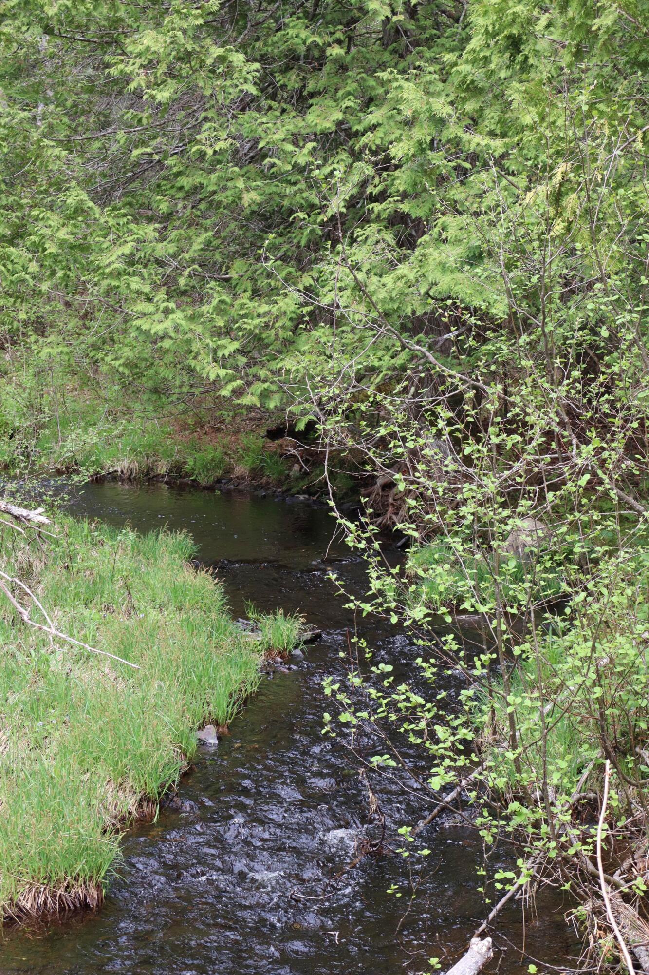 68 Boothby Road Athens, ME 04912 - Photo 55 of 61 IMG_0159