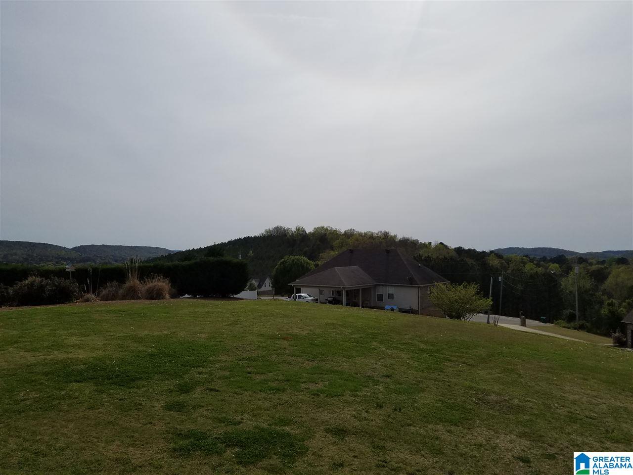 817 Ransome Drive Oneonta, AL 35121 - Photo 29 of 35 Gallery Image 29