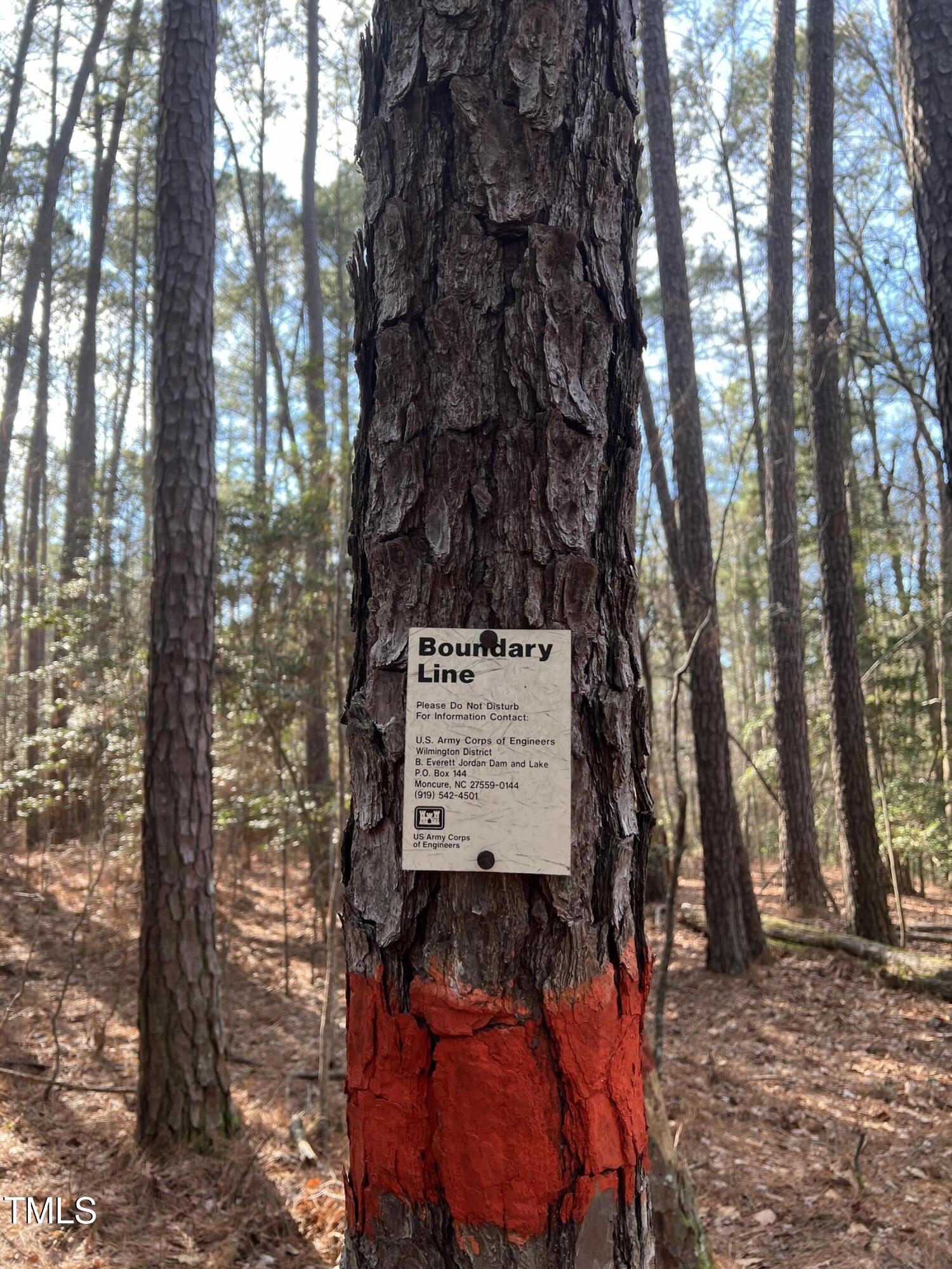102 Anfield Road New Hill, NC 27562 - Photo 15 of 19 a sign that is sitting in a forest