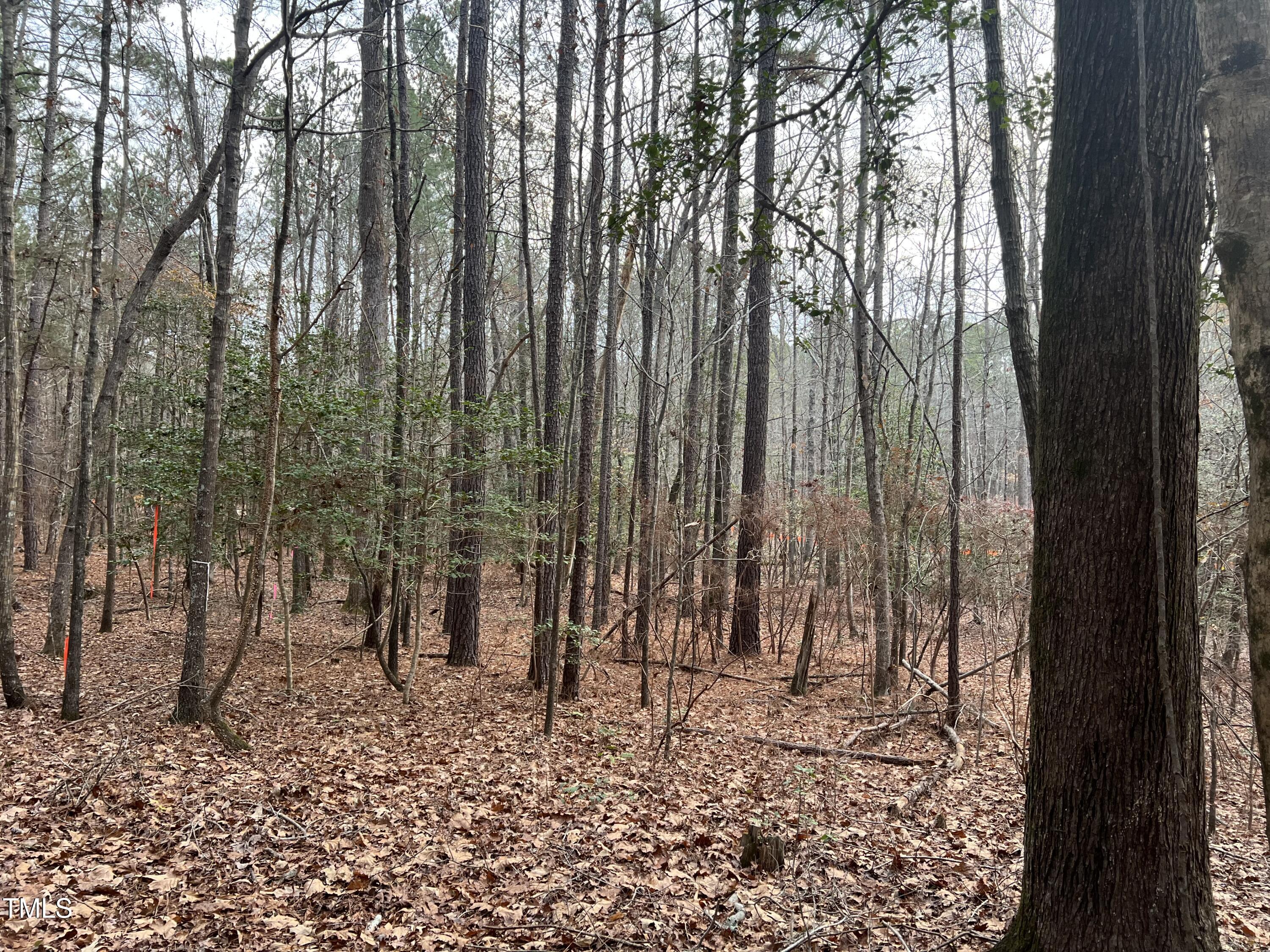 102 Anfield Road New Hill, NC 27562 - Photo 10 of 19 a view of outdoor space with chairs