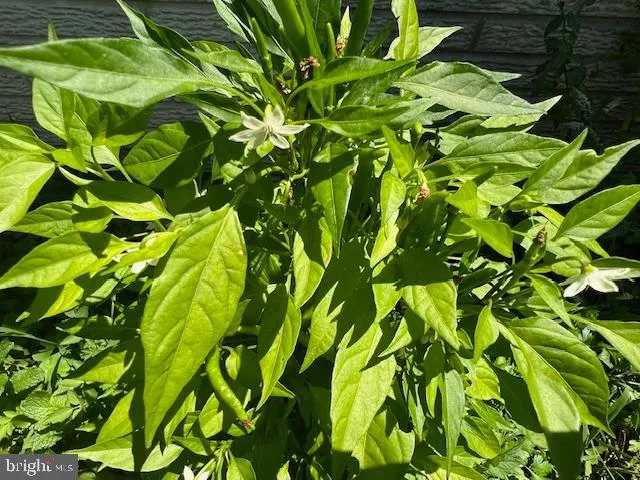 $450,000 | 343 North Beaumont Avenue, Baltimore, MD 21228