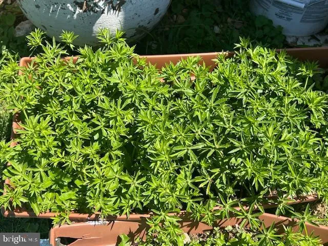 $450,000 | 343 North Beaumont Avenue, Baltimore, MD 21228