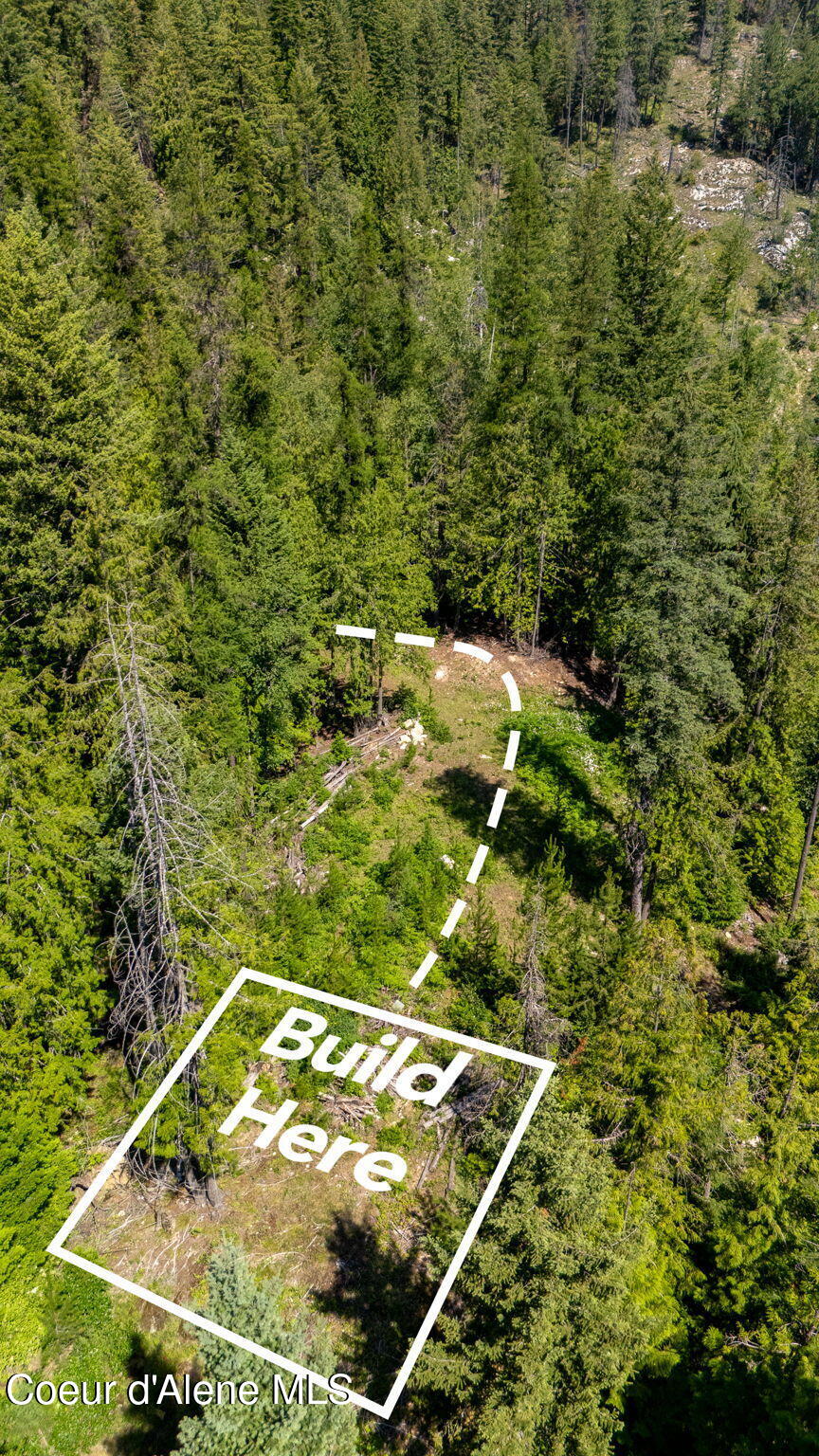 466 Rincon Drive Sandpoint, ID 83864 - Photo 9 of 19 9-web-or-mls-SkyLight - SPLOT (RQ)-10L