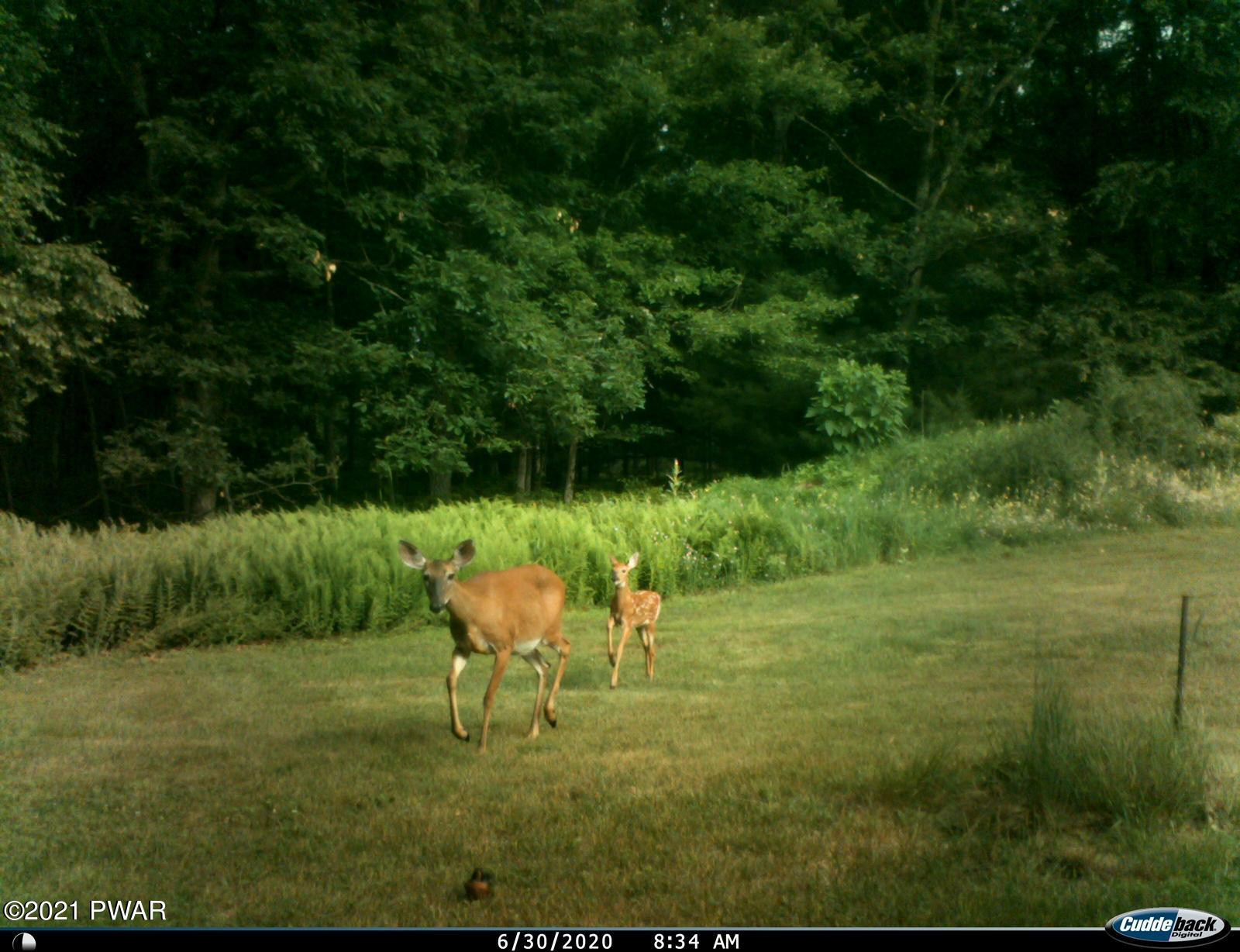 Lot 14 Little Walker Road Shohola, PA 18458 - Photo 12 of 13