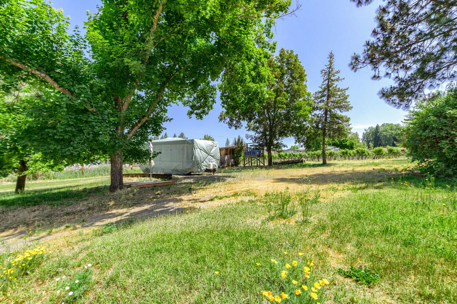 3145 Helms Road Grants Pass, OR 97527 - Photo 36 of 79 51_HR_51_mls