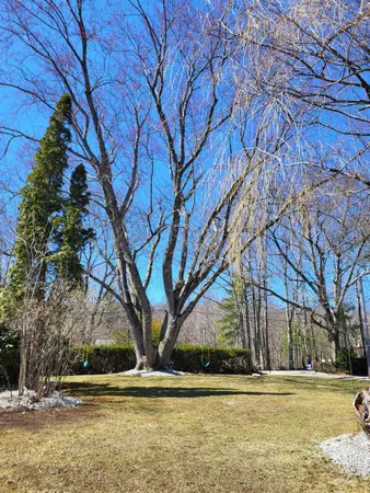 $450,000 | 55 Lane Road, Chichester, NH 03258