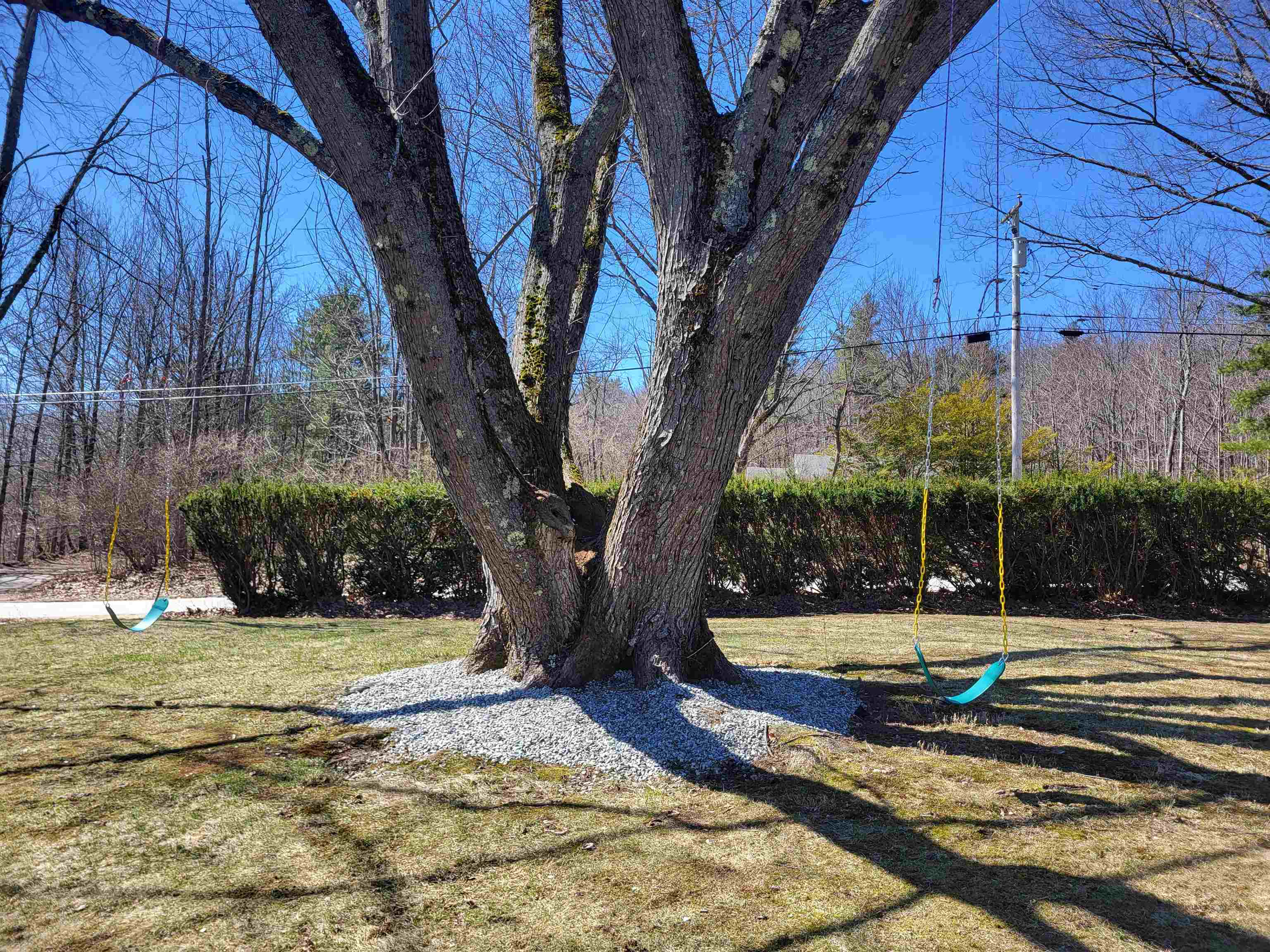 55 Lane Road Chichester, NH 03258 - Photo 4 of 43