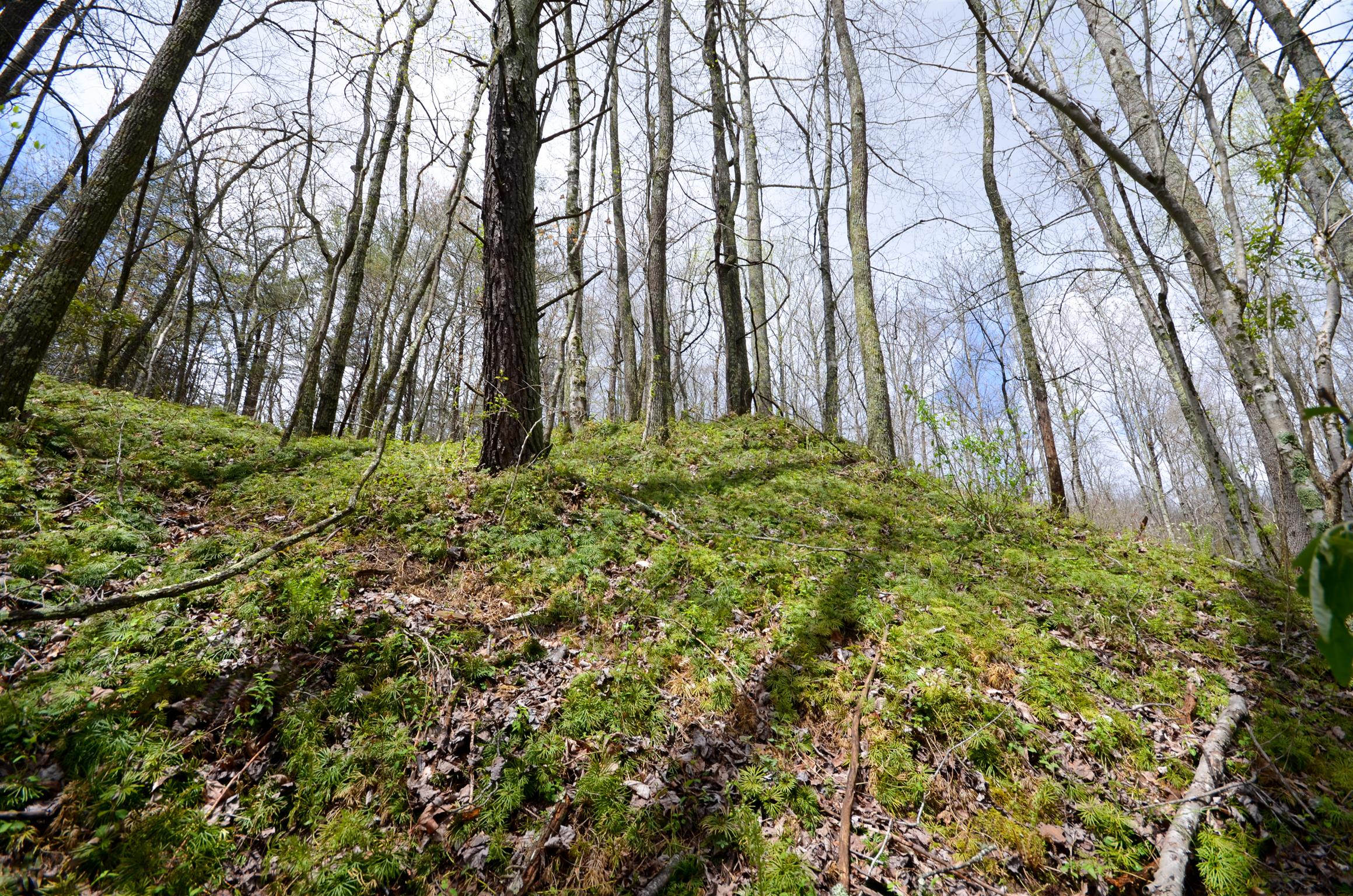 0 B B Mine Road Tracy City, TN 37387 - Photo 13 of 27 Gallery Image 13