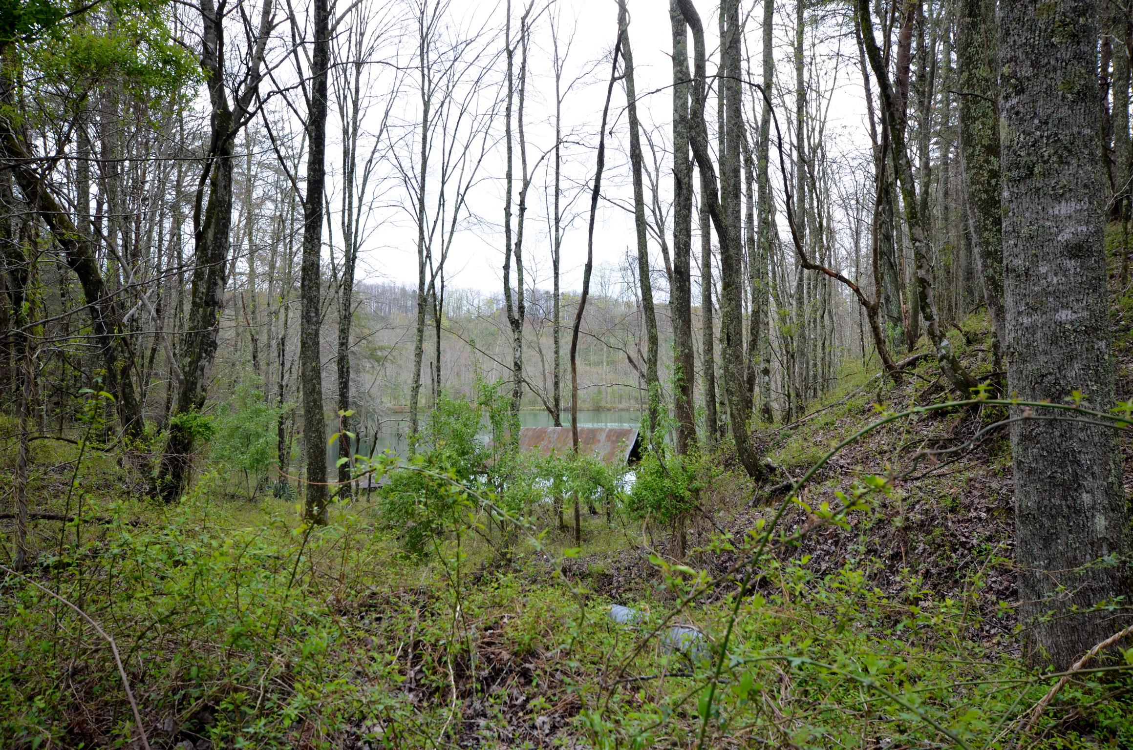 0 B B Mine Road Tracy City, TN 37387 - Photo 16 of 27 Gallery Image 16