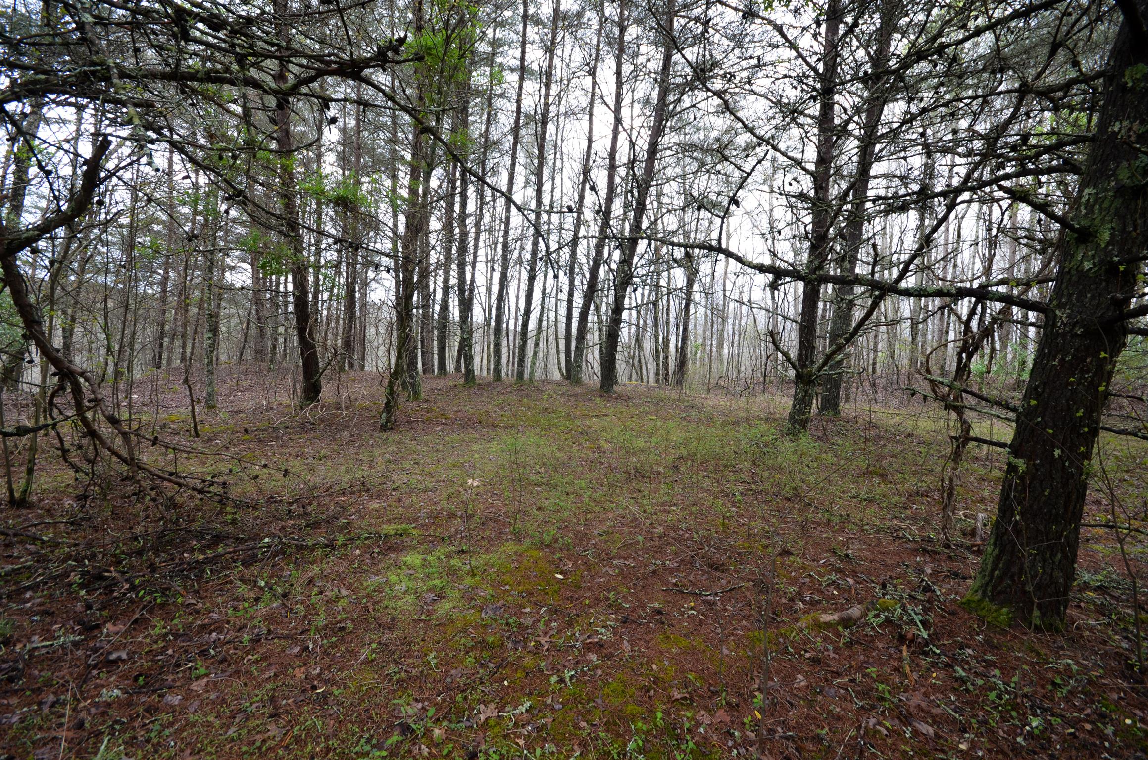 0 B B Mine Road Tracy City, TN 37387 - Photo 18 of 27 Gallery Image 18