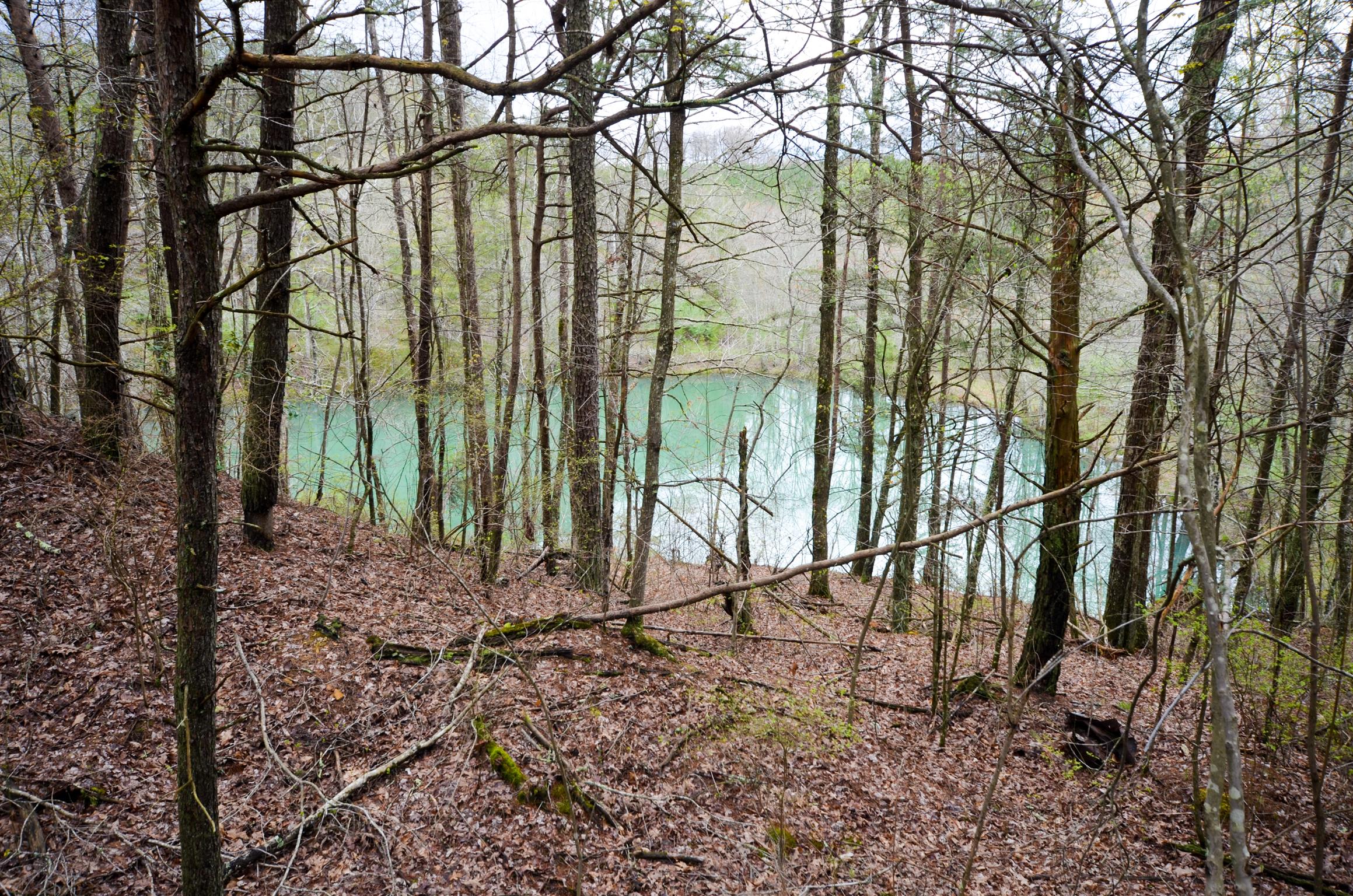 0 B B Mine Road Tracy City, TN 37387 - Photo 20 of 27 Gallery Image 20