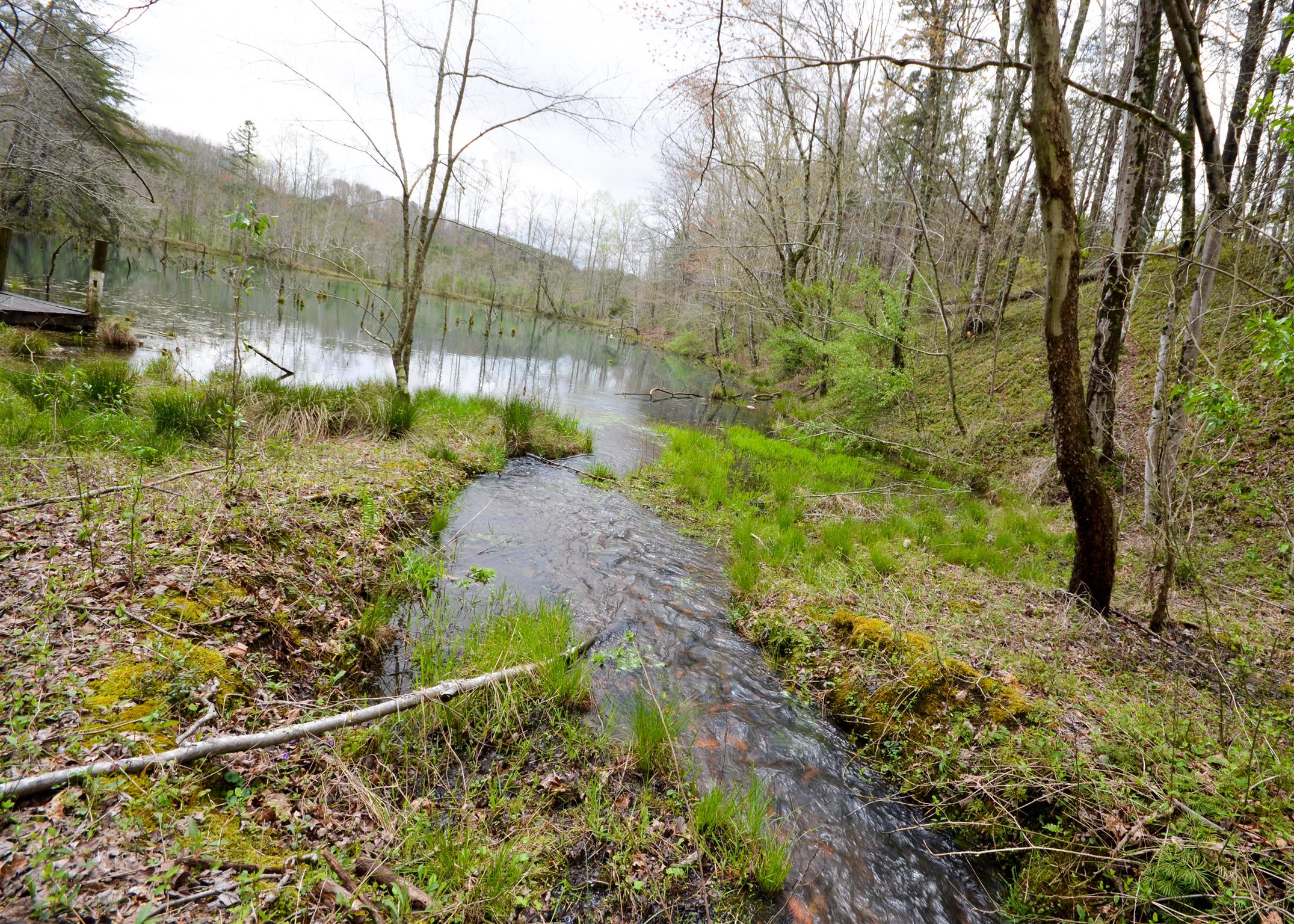 0 B B Mine Road Tracy City, TN 37387 - Photo 25 of 27 Gallery Image 25