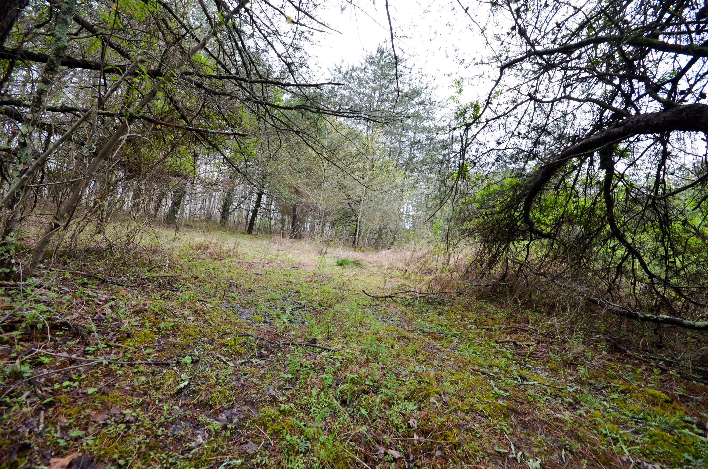 0 B B Mine Road Tracy City, TN 37387 - Photo 26 of 27 Gallery Image 26