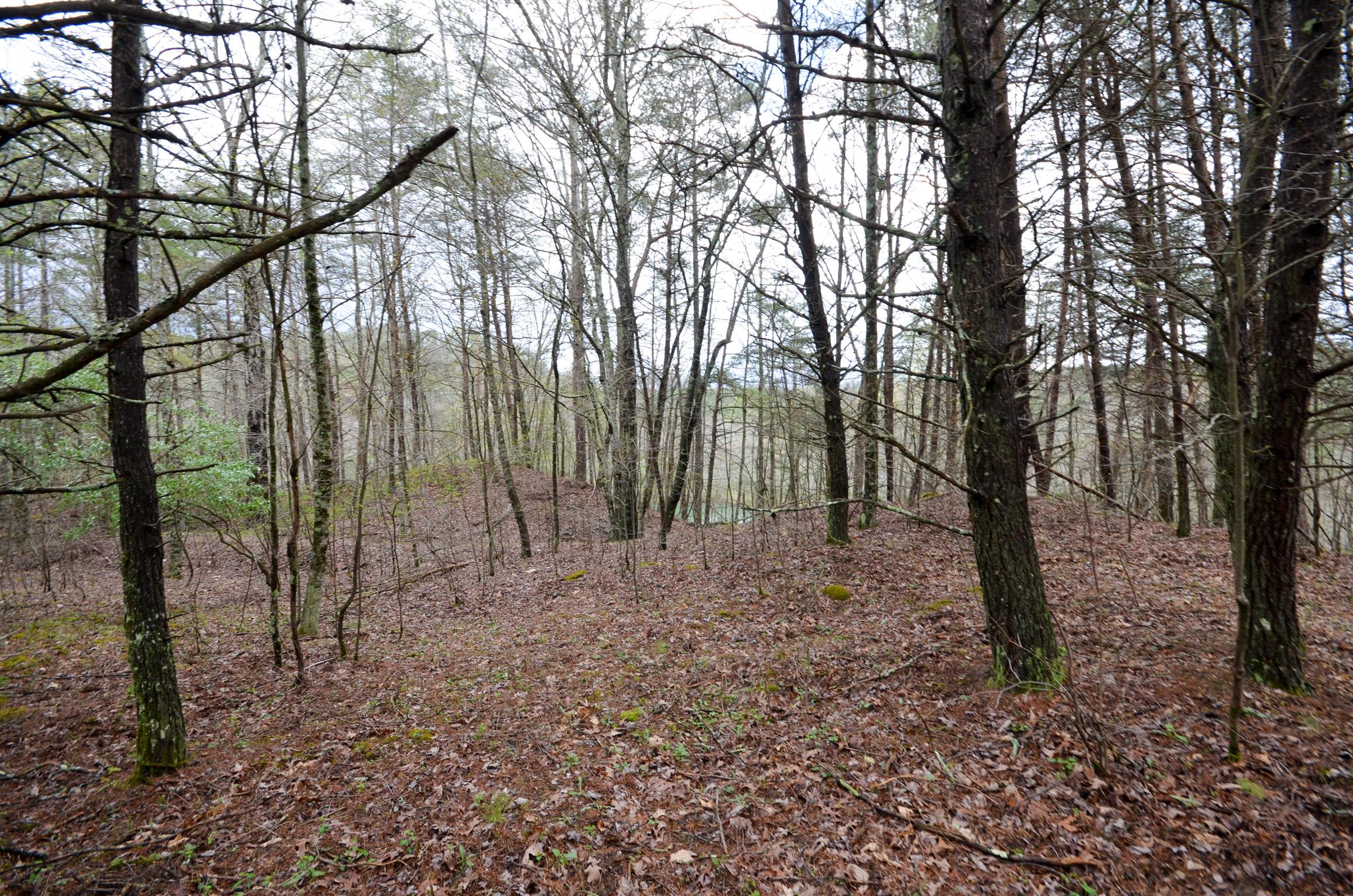 0 B B Mine Road Tracy City, TN 37387 - Photo 27 of 27 Gallery Image 27