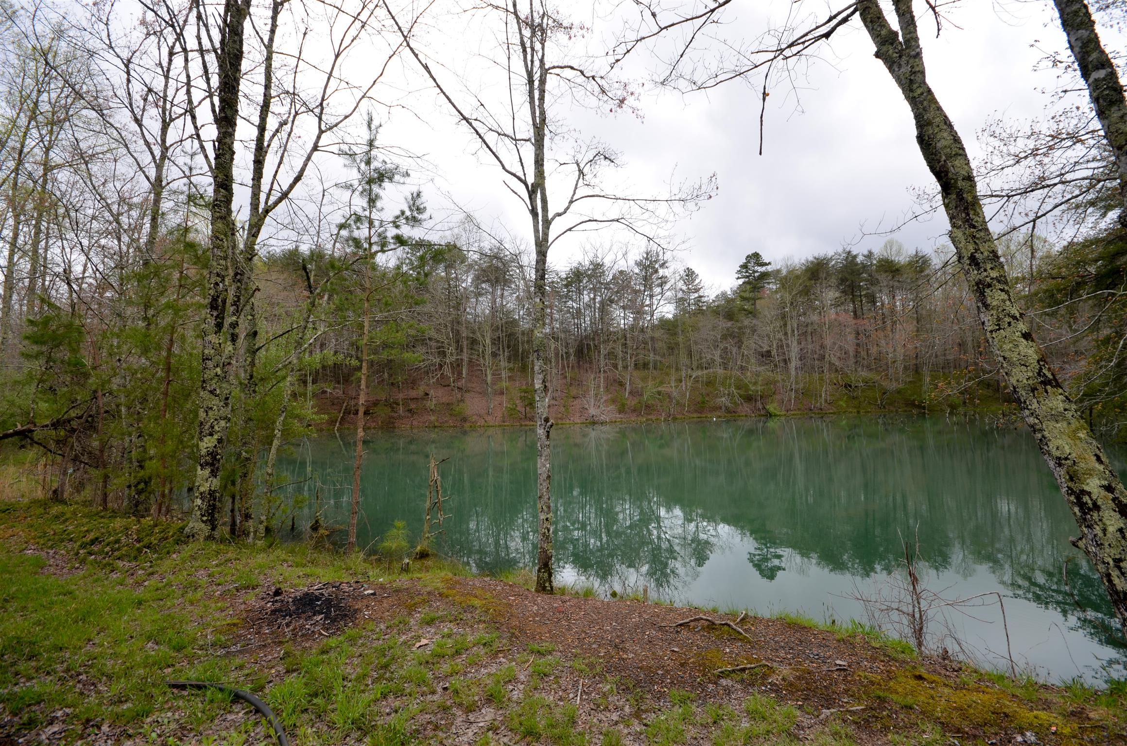0 B B Mine Road Tracy City, TN 37387 - Photo 3 of 27 Gallery Image 3
