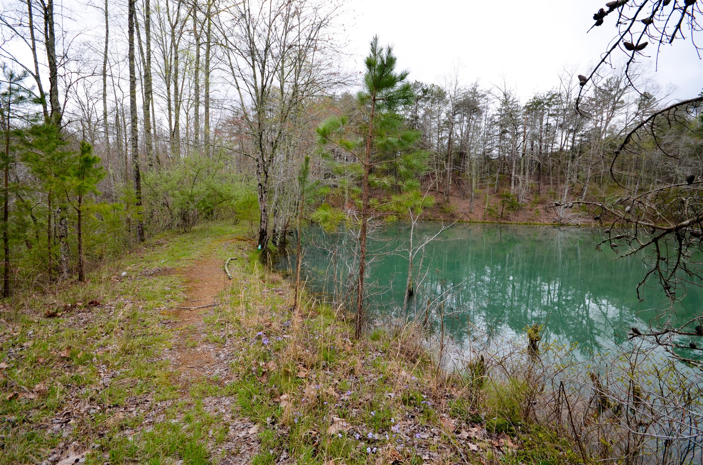 0 B B Mine Road Tracy City, TN 37387 - Photo 4 of 27 Gallery Image 4