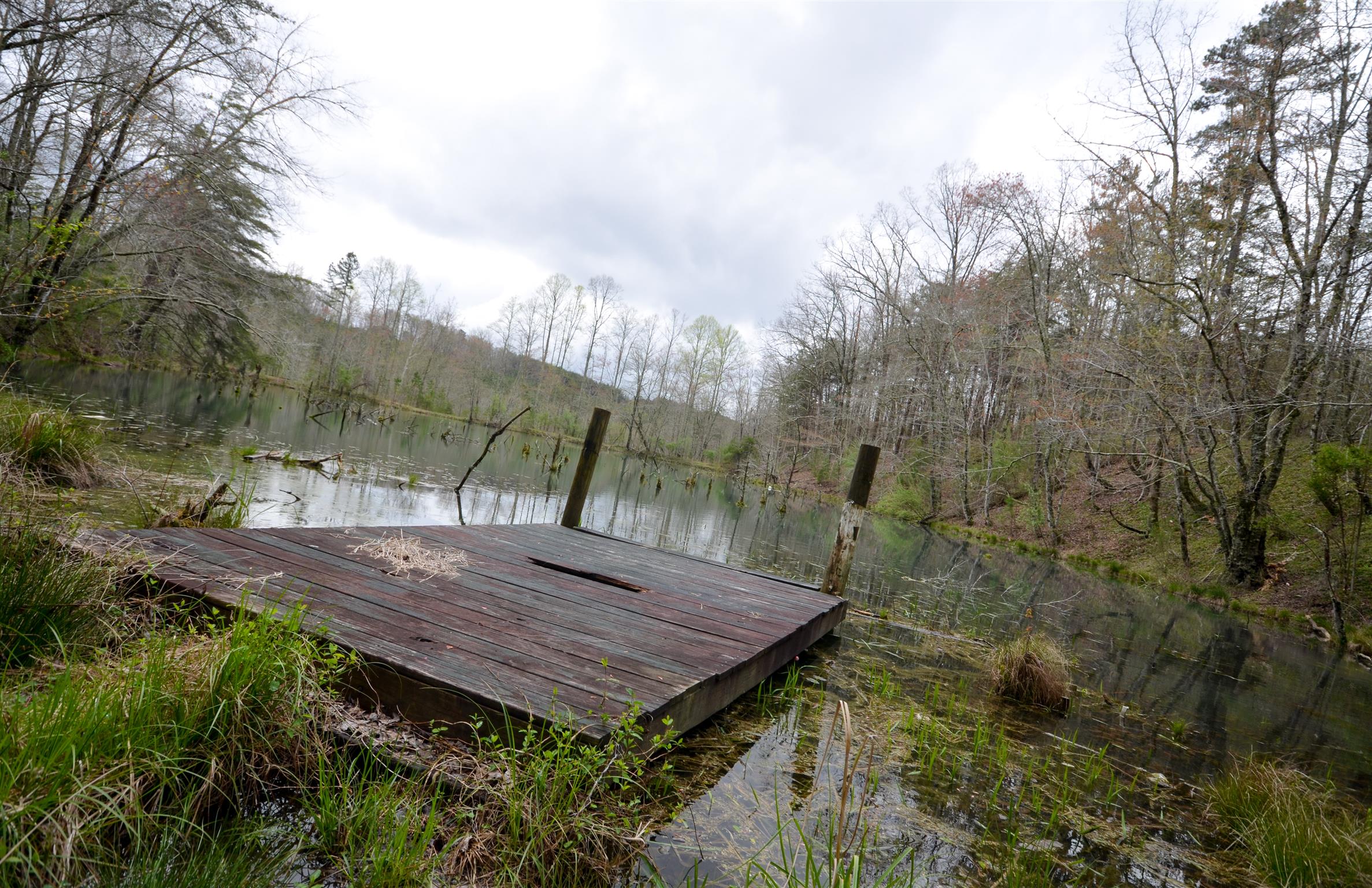 0 B B Mine Road Tracy City, TN 37387 - Photo 7 of 27 Gallery Image 7