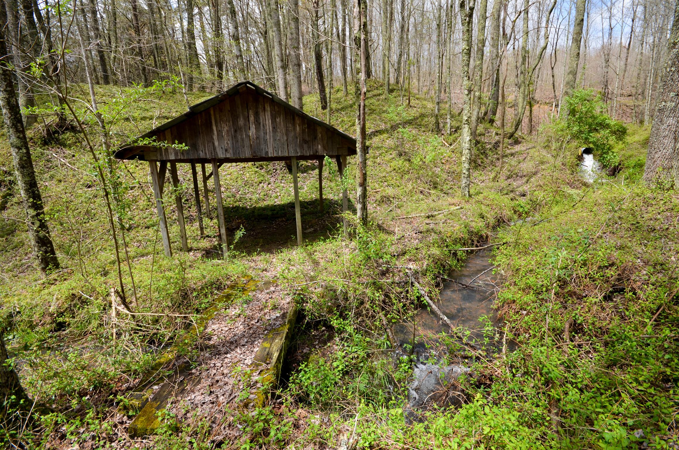 0 B B Mine Road Tracy City, TN 37387 - Photo 8 of 27 Gallery Image 8