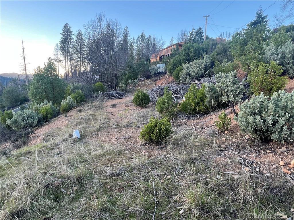 16749 Starview Loop Cobb, CA 95426 - Photo 12 of 25