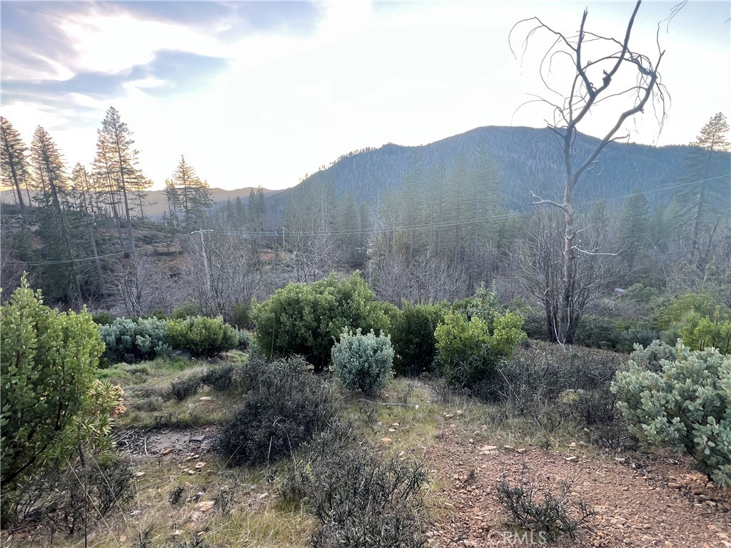 16749 Starview Loop Cobb, CA 95426 - Photo 13 of 25