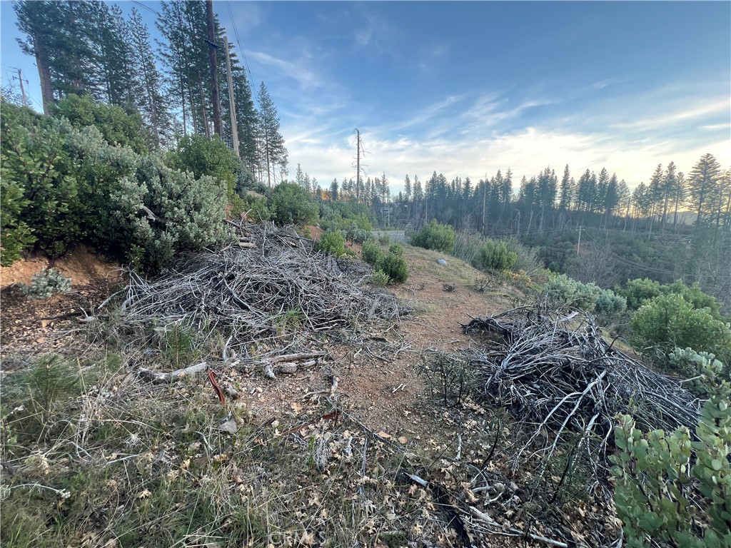 16749 Starview Loop Cobb, CA 95426 - Photo 14 of 25