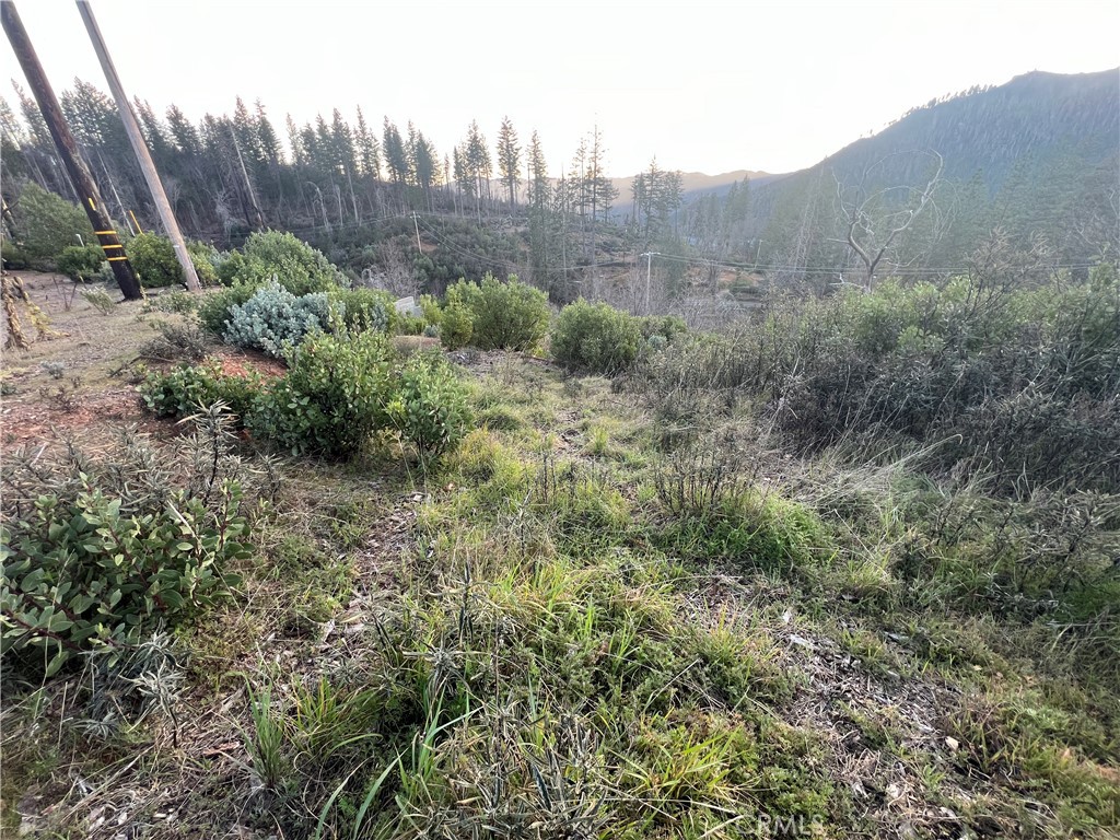 16749 Starview Loop Cobb, CA 95426 - Photo 16 of 25