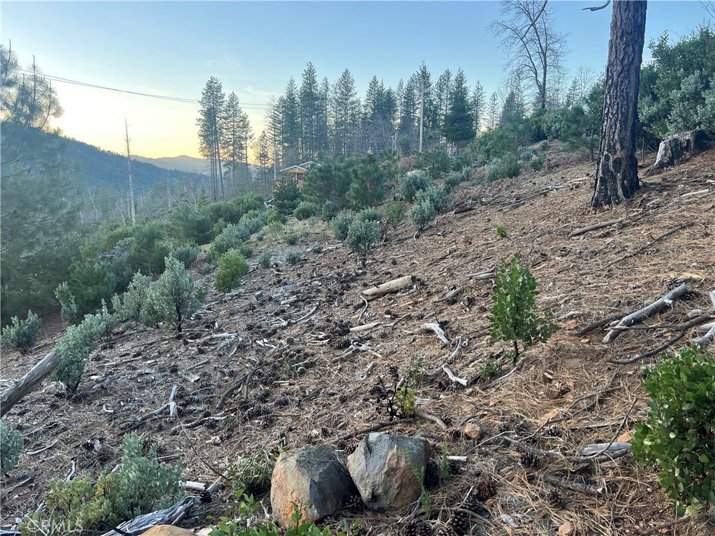 16749 Starview Loop Cobb, CA 95426 - Photo 21 of 25