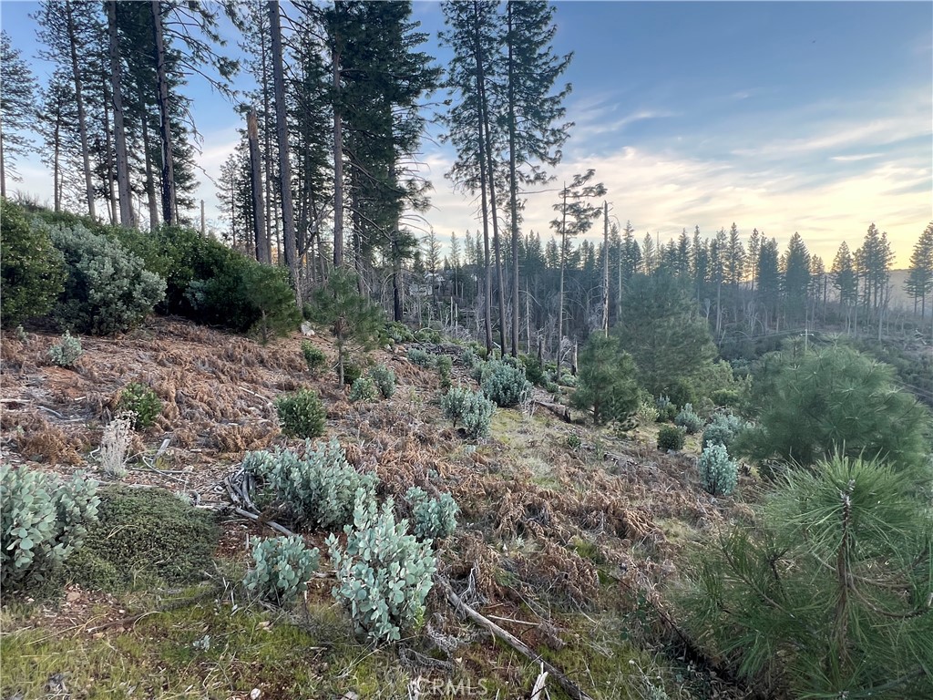 16749 Starview Loop Cobb, CA 95426 - Photo 23 of 25