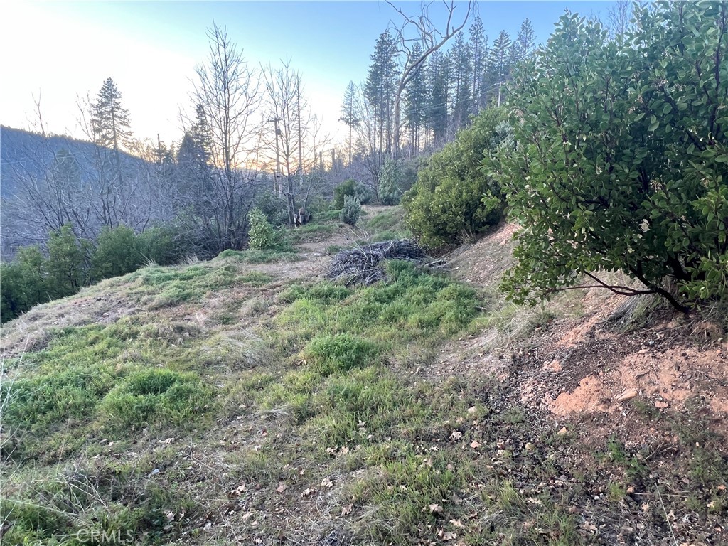 16749 Starview Loop Cobb, CA 95426 - Photo 6 of 25