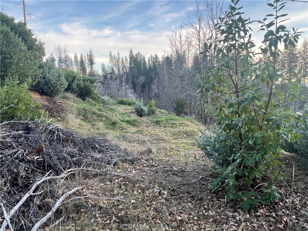 16749 Starview Loop Cobb, CA 95426 - Photo 9 of 25