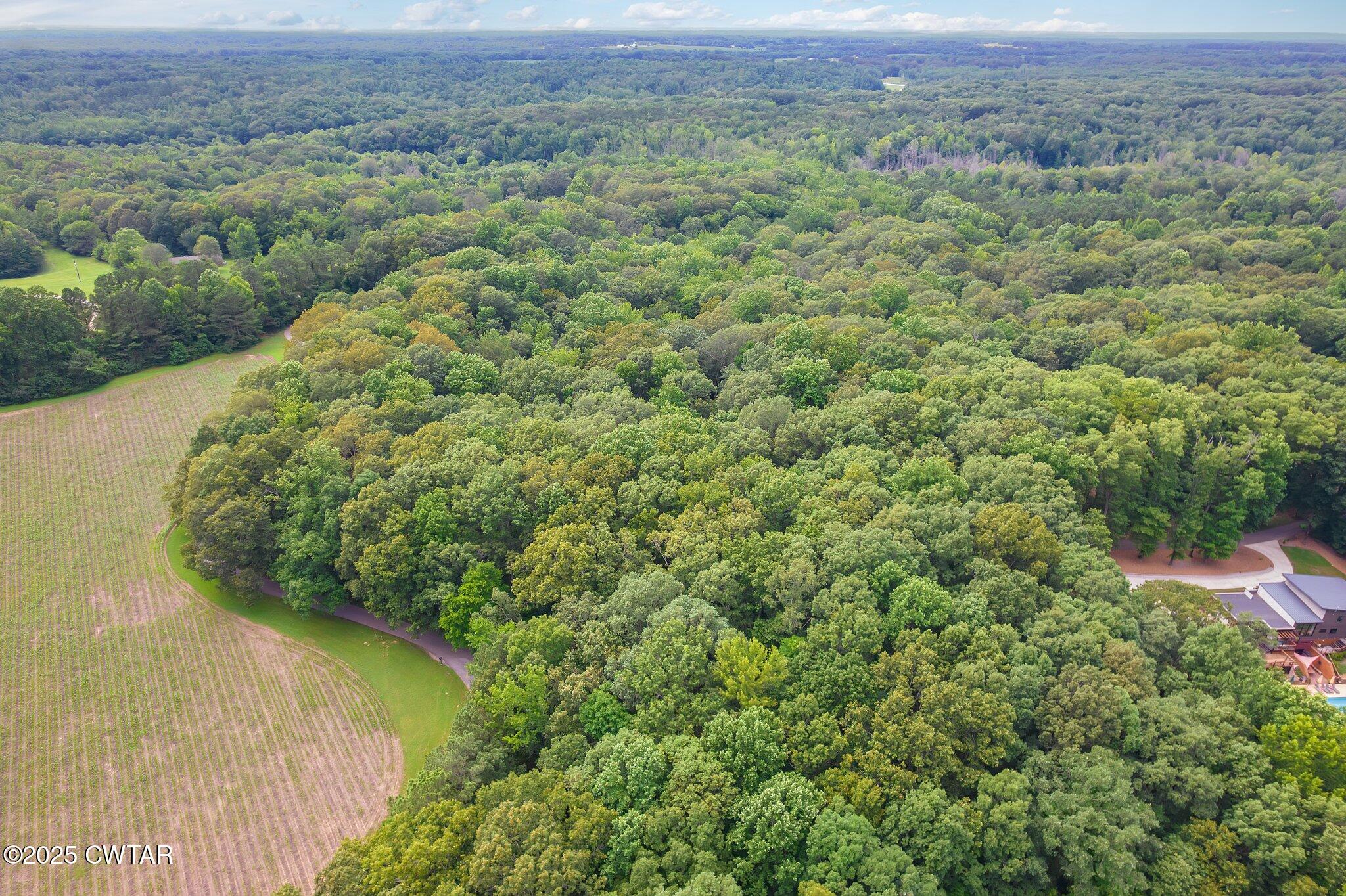0 Liberty Claybrook Road Beech Bluff, TN 38313 - Photo 15 of 22 a view of a lush green field
