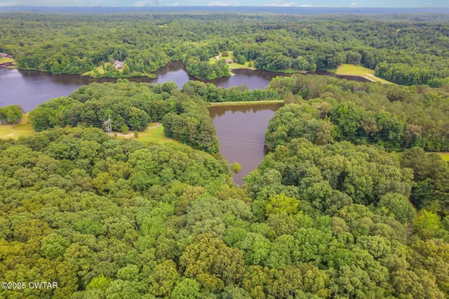 an aerial view of residential houses with outdoor space and trees