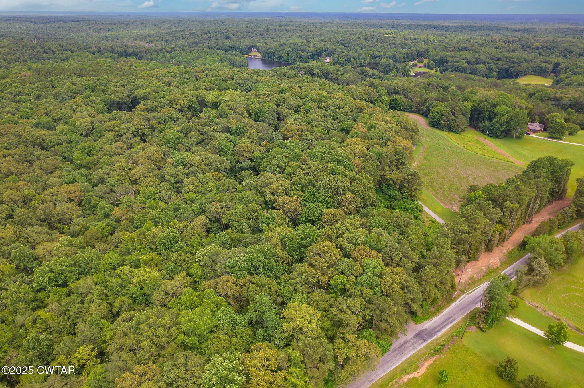 0 Liberty Claybrook Road Beech Bluff, TN 38313 - Photo 20 of 22 a view of a field with an ocean view
