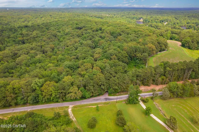a view of a yard with an outdoor space