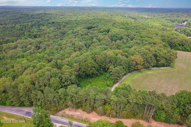 a view of a field with an trees