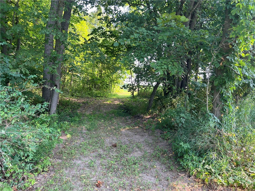Vl Shaw Road Spencer, OH 44275 - Photo 13 of 28 Trail on property