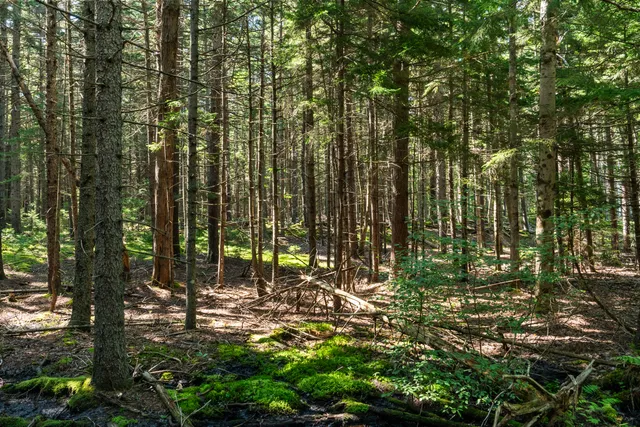 $149,000 | 2 Allen Point Road, Harpswell, ME 04079