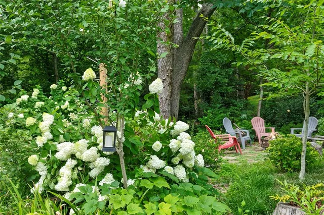 a backyard of a house with lots of green space and garden in the back