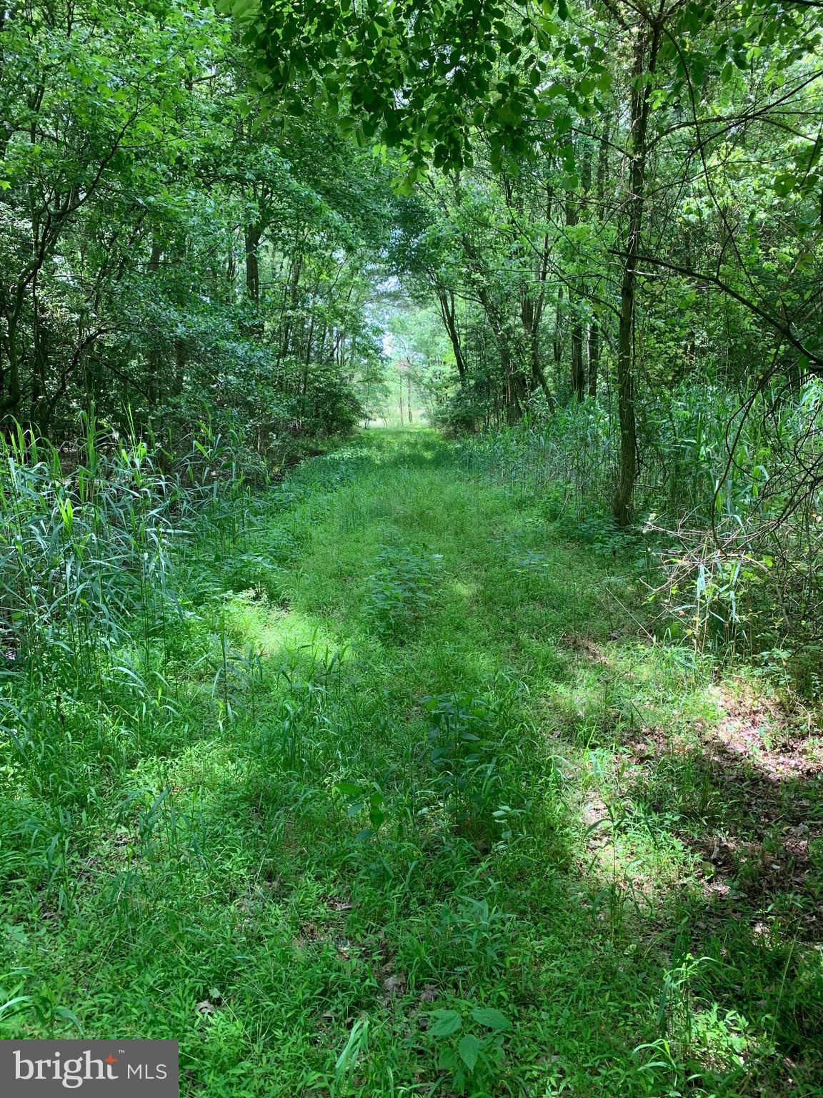 0 Siloam Road Salisbury, MD 21801 - Photo 3 of 10