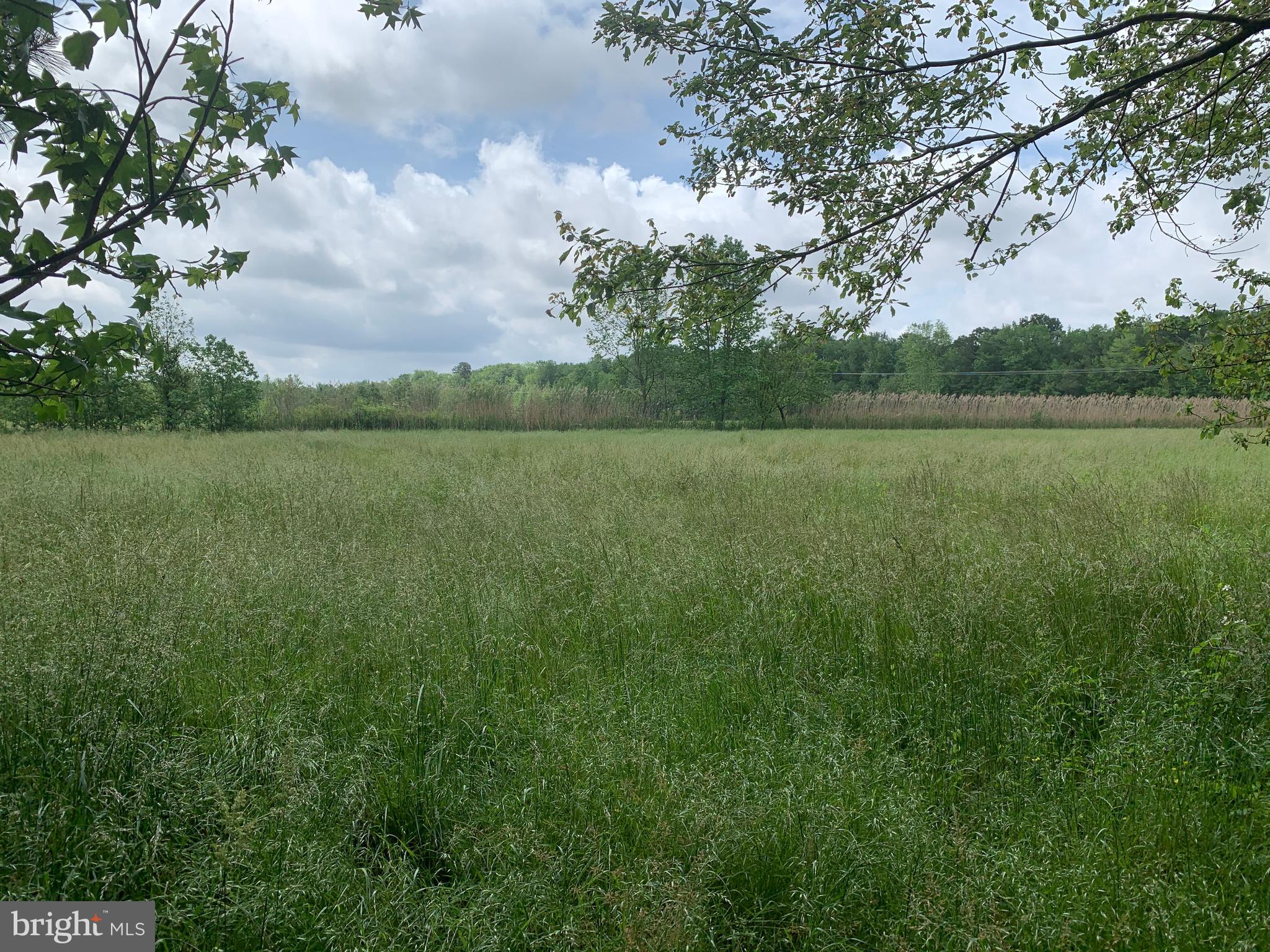 0 Siloam Road Salisbury, MD 21801 - Photo 8 of 10