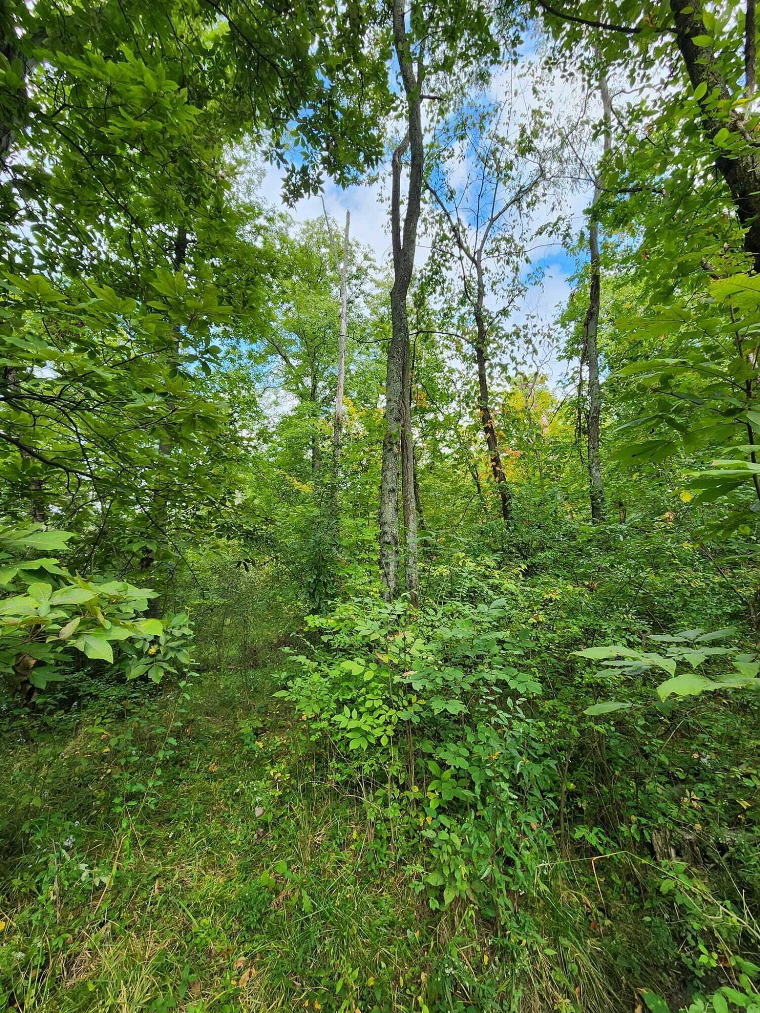 14109 Maple Ridge Road Milford Center, OH 43045 - Photo 45 of 48 48