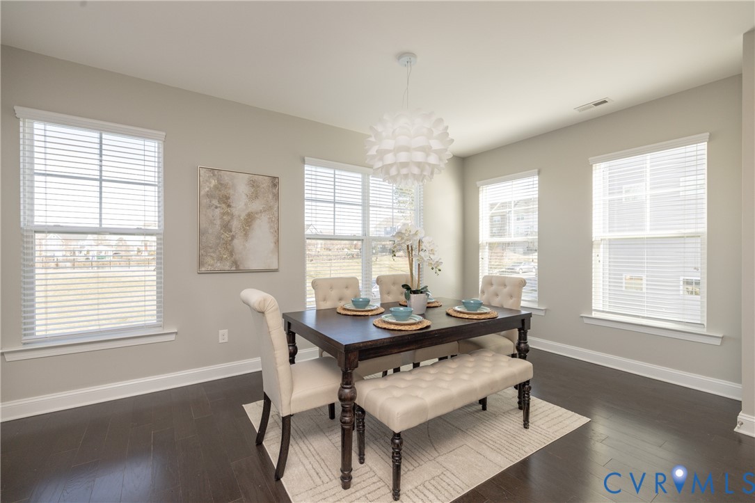 6418 Cassia Loop Moseley, VA 23120 - Photo 4 of 38 A lovely sized dining area and again, all that nat