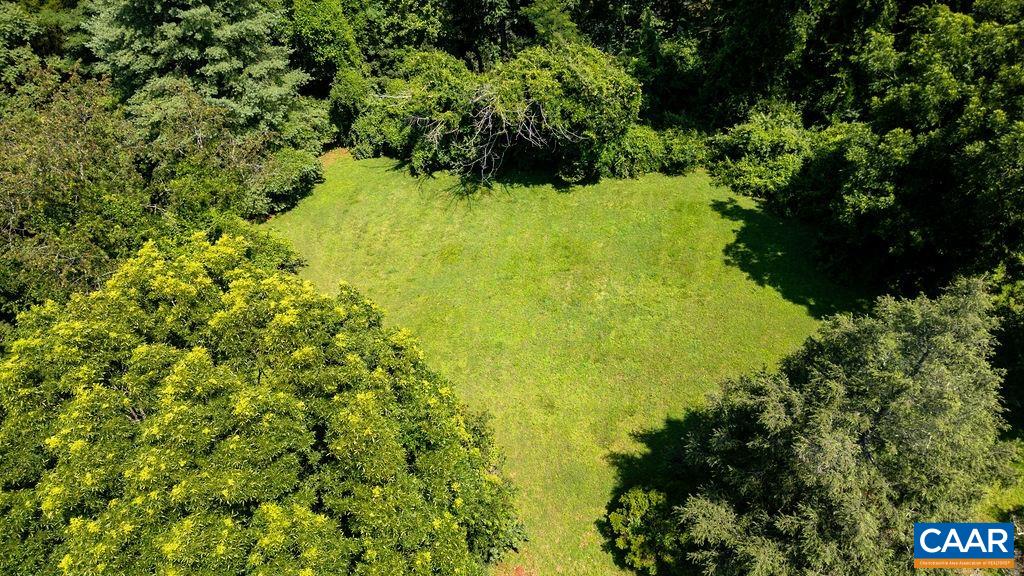 850 Emerson Drive Charlottesville, VA 22901 - Photo 5 of 14