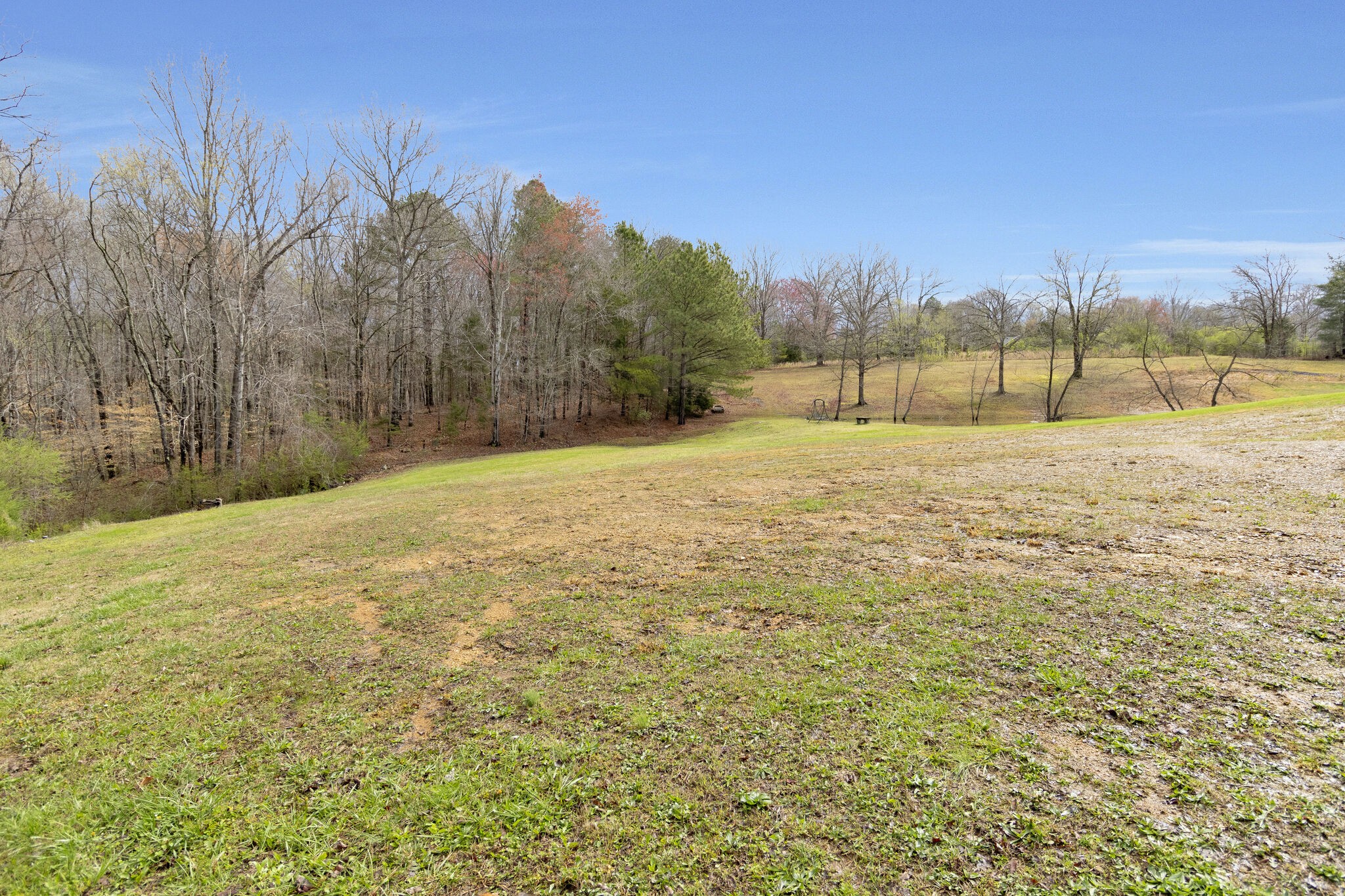 3209 Manley Drive Centerville, TN 37033 - Photo 21 of 23 a big yard with lots of tress in it